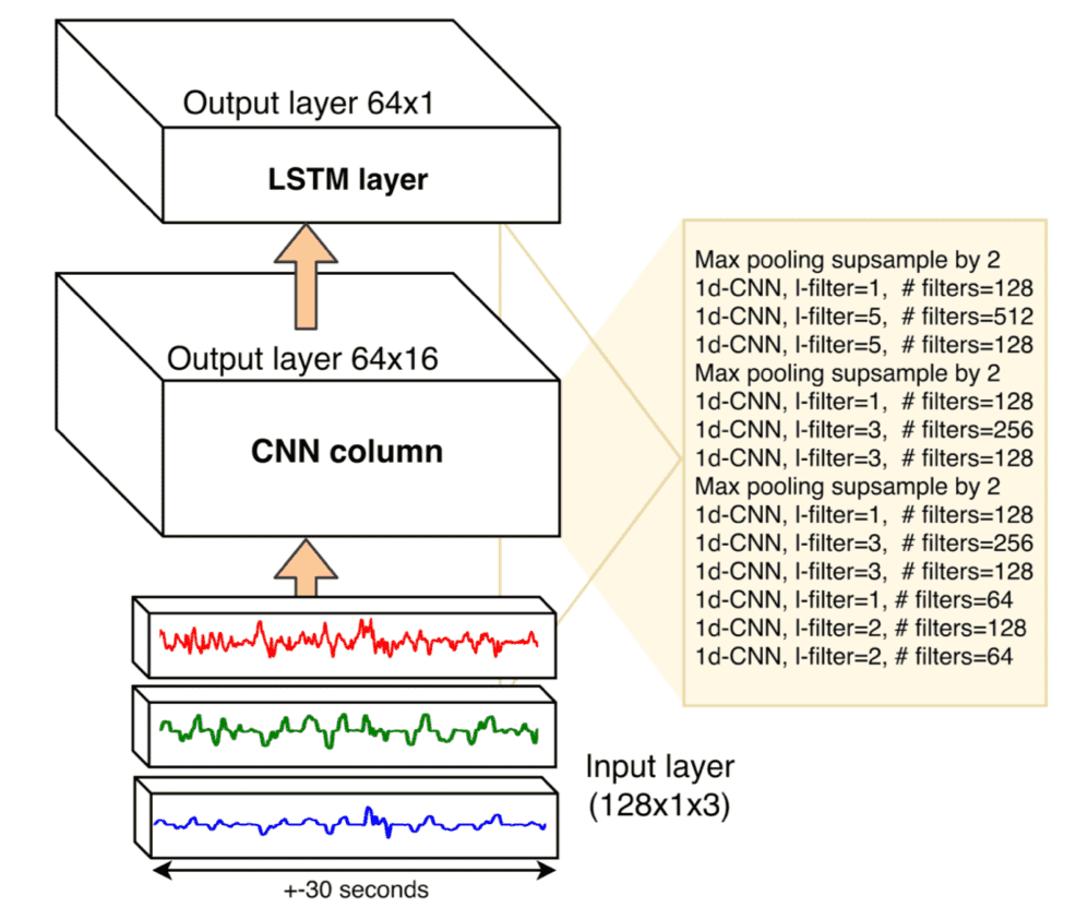 architecture of one neural column