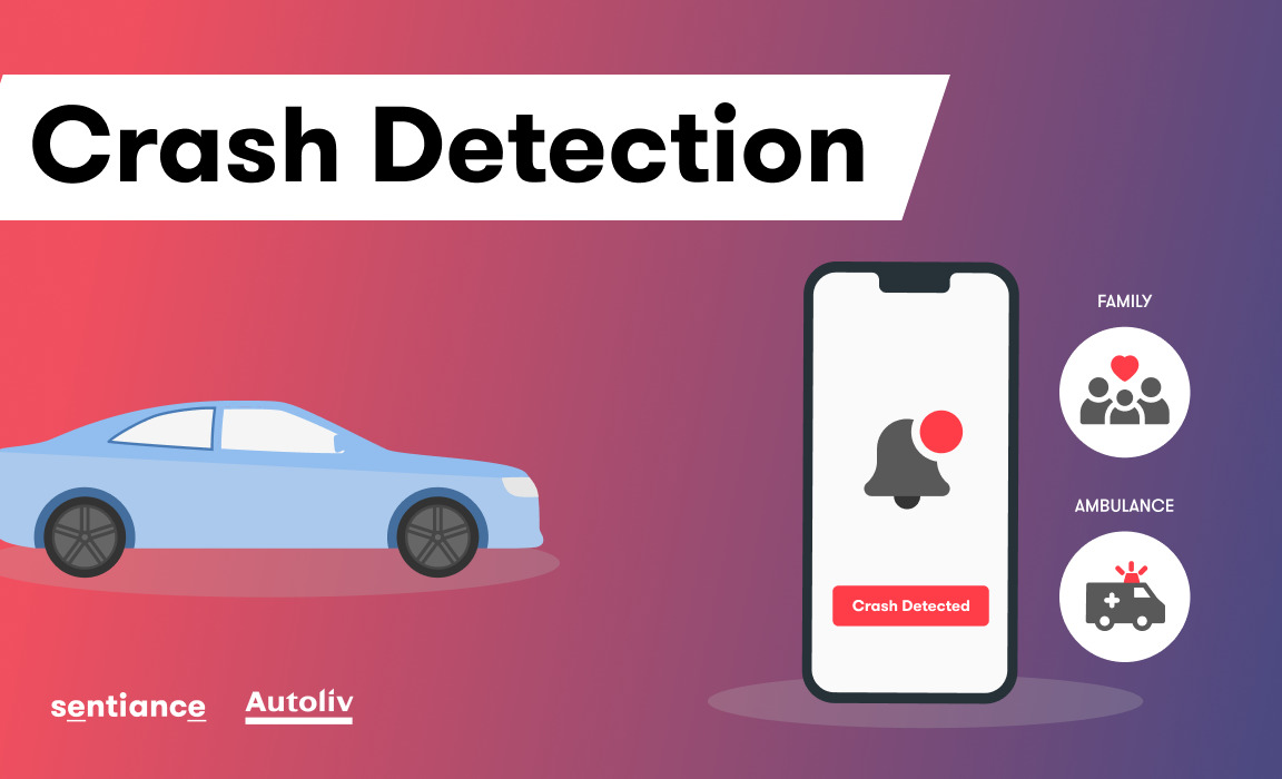 Crash-detection-infographic-download-preview